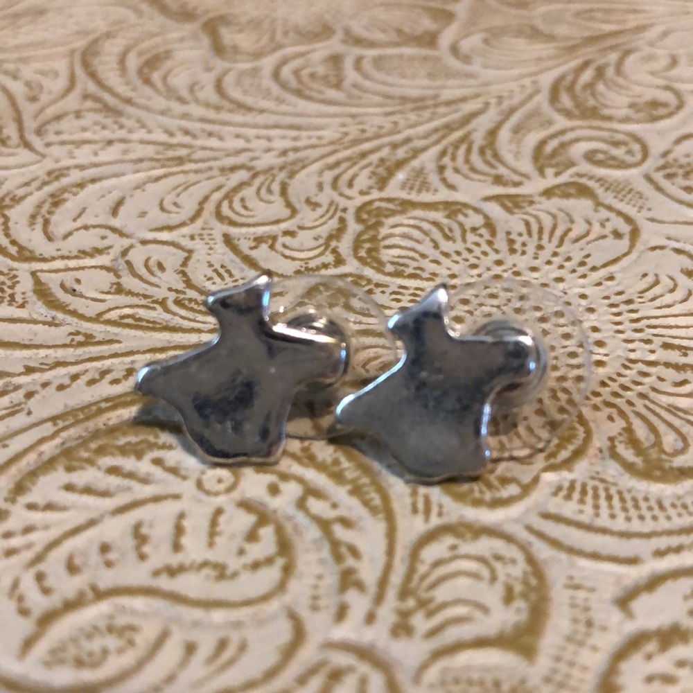 Texas Earring Set - image 6